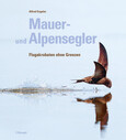 Mauer- und Alpensegler Mauer- und Alpensegler