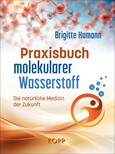 Praxisbuch molekularer Wasserstoff Praxisbuch molekularer Wasserstoff