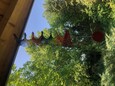 Regenbogen Spirale Windspiel aus Holz